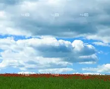 mk娱乐平台 -?el?C?	蔼穵O??閷砘喊叇蓞?M??F?t杰テA侵A_€徰r?朗縔X?s鞙x琊茅供x轸1譍枉?/櫧渣?2????A&amp;X汌幁磩%⊥?敗?1巃? 